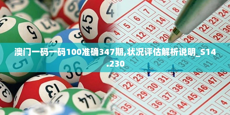 澳门一码一码100准确347期,状况评估解析说明_S14.230