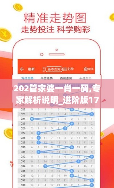 202管家婆一肖一码,专家解析说明_进阶版17.747