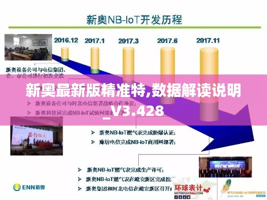 新奥最新版精准特,数据解读说明_V3.428