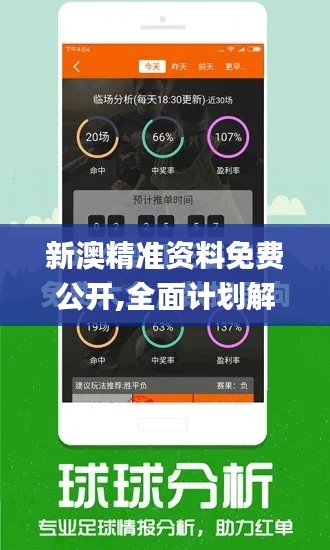 新澳精准资料免费公开,全面计划解析_游戏版9.836