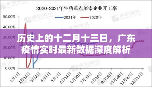 广东疫情实时最新数据深度解析，历史视角的十二月十三日疫情回顾