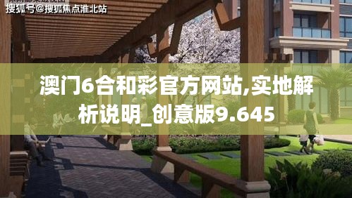 澳门6合和彩官方网站,实地解析说明_创意版9.645