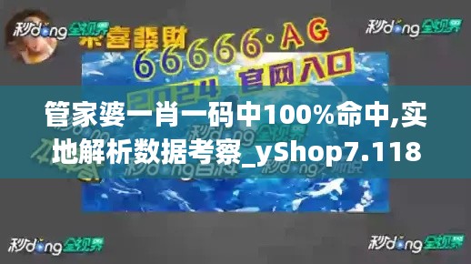 管家婆一肖一码中100%命中,实地解析数据考察_yShop7.118