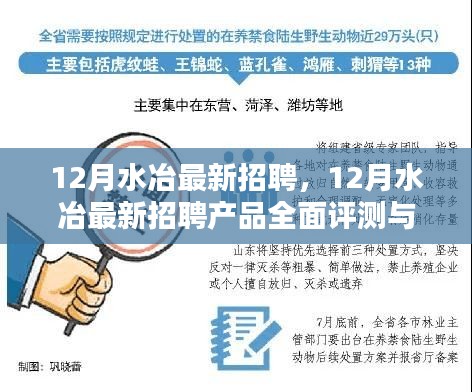 12月水冶最新招聘及招聘产品全面评测介绍指南