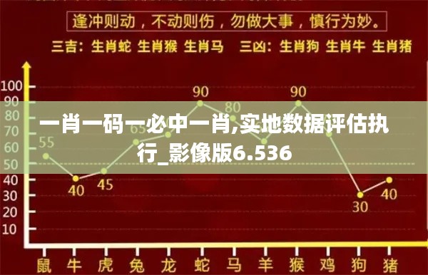 一肖一码一必中一肖,实地数据评估执行_影像版6.536