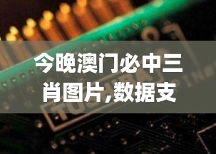 今晚澳门必中三肖图片,数据支持计划解析_钱包版4.413