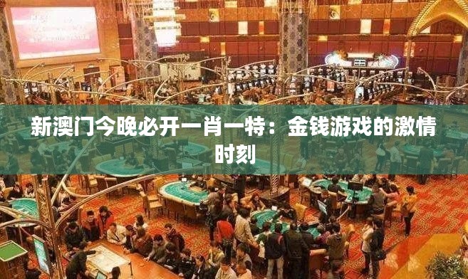 新澳门今晚必开一肖一特：金钱游戏的激情时刻