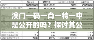 澳门一码一肖一特一中是公开的吗？探讨其公平性