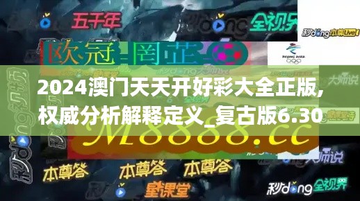 2024澳门天天开好彩大全正版,权威分析解释定义_复古版6.302