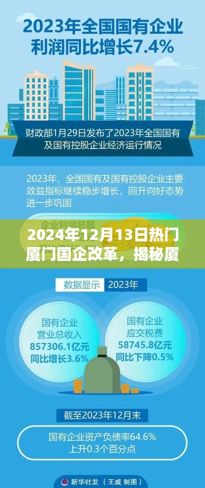 揭秘厦门国企改革新动向，聚焦热门焦点，深度解读国企改革的未来方向（2024年12月13日）