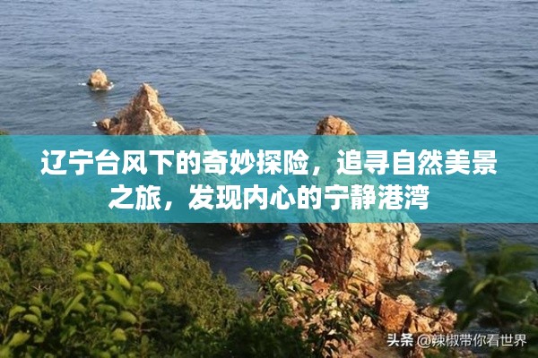 辽宁台风下的探险之旅，追寻自然美景，探寻内心宁静的港湾