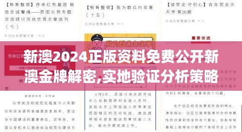 新澳2024正版资料免费公开新澳金牌解密,实地验证分析策略_复古版1.106