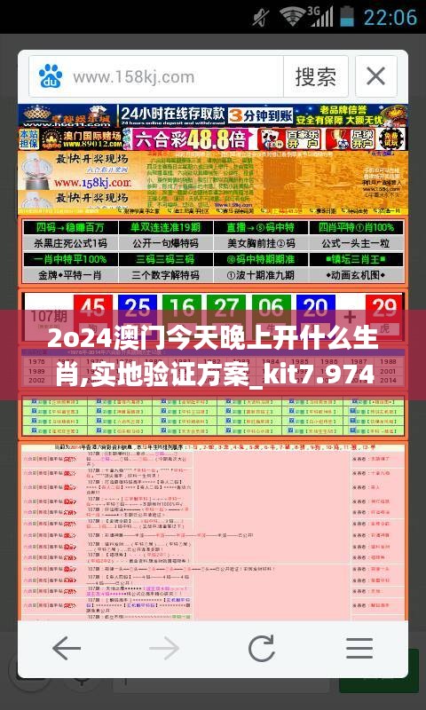 2o24澳门今天晚上开什么生肖,实地验证方案_kit7.974