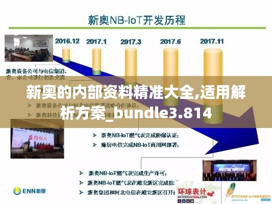 新奥的内部资料精准大全,适用解析方案_bundle3.814