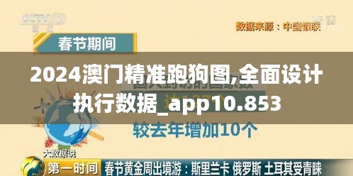 2024澳门精准跑狗图,全面设计执行数据_app10.853