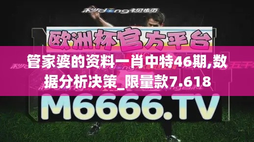 管家婆的资料一肖中特46期,数据分析决策_限量款7.618