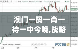 澳门一码一肖一待一中今晚,战略性方案优化_FHD4.430