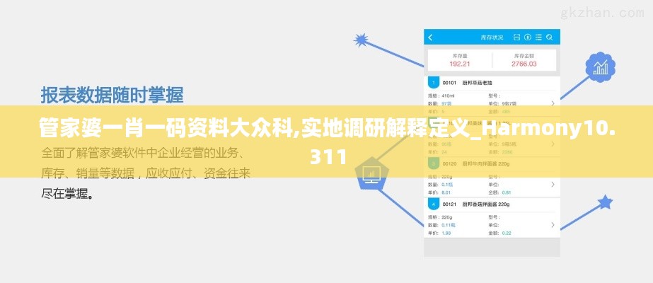 管家婆一肖一码资料大众科,实地调研解释定义_Harmony10.311