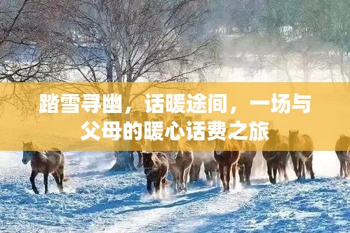 踏雪寻幽暖心话费之旅，与父母的温馨旅途