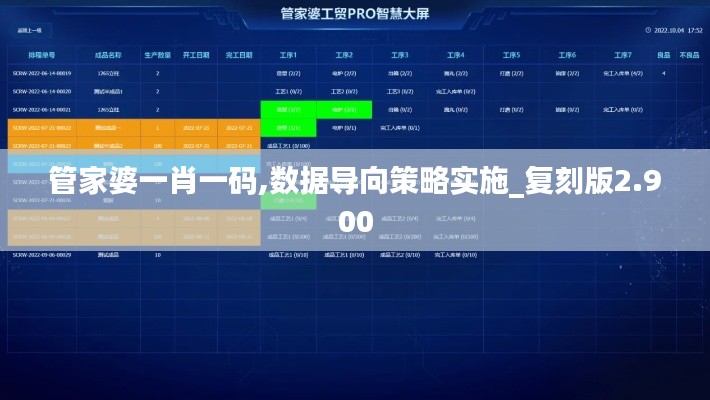 管家婆一肖一码,数据导向策略实施_复刻版2.900