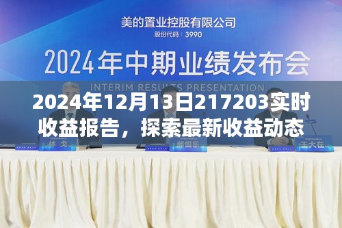 2024年12月13日实时收益报告，最新收益动态与策略深度解析