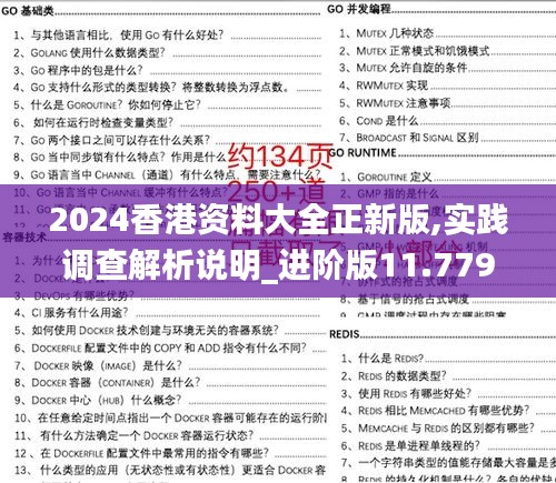 2024香港资料大全正新版,实践调查解析说明_进阶版11.779