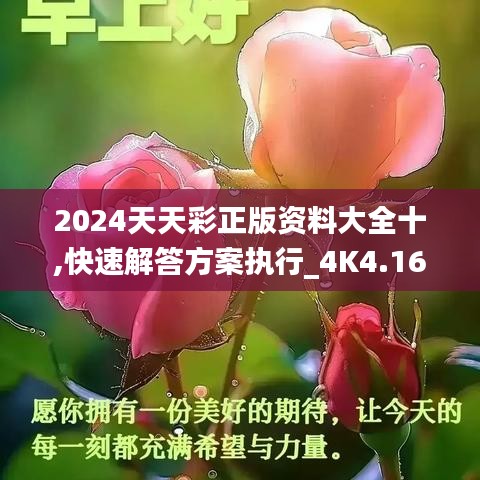 2024天天彩正版资料大全十,快速解答方案执行_4K4.169