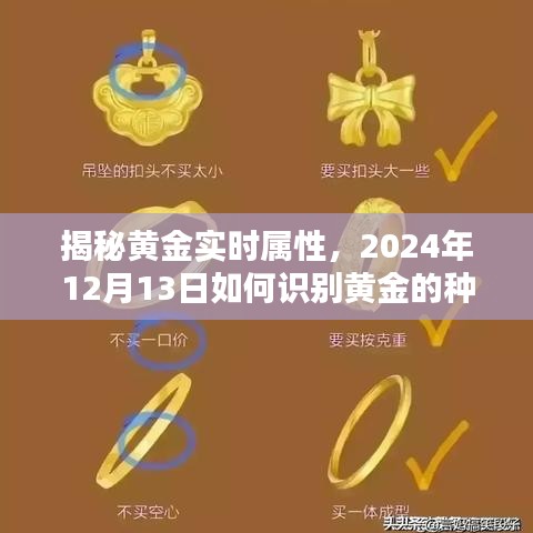 揭秘黄金实时属性，黄金种类与状态的识别方法（2024年12月13日指南）