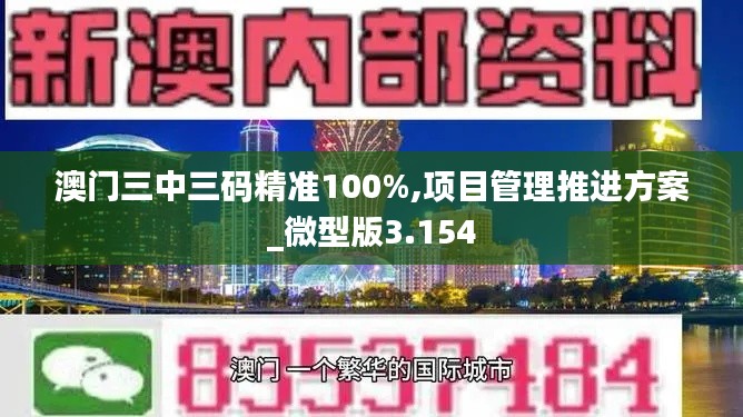 澳门三中三码精准100%,项目管理推进方案_微型版3.154