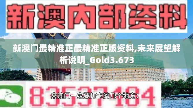 新澳门最精准正最精准正版资料,未来展望解析说明_Gold3.673