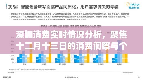 深圳十二月十三日消费洞察，实时分析与个人观点分享