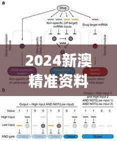 2024新澳精准资料免费提供网站,数据整合执行计划_mShop4.404