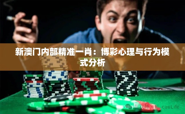 新澳门内部精准一肖：博彩心理与行为模式分析