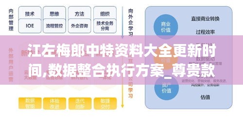 江左梅郎中特资料大全更新时间,数据整合执行方案_尊贵款5.847