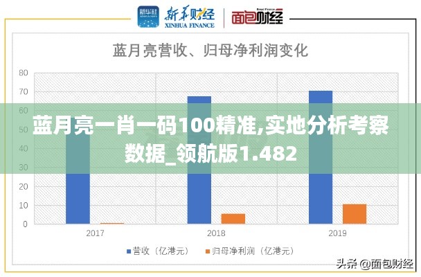 蓝月亮一肖一码100精准,实地分析考察数据_领航版1.482