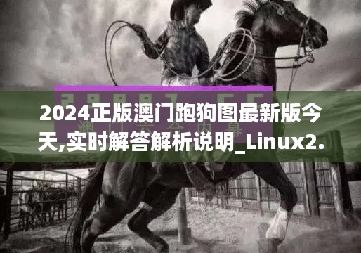 2024正版澳门跑狗图最新版今天,实时解答解析说明_Linux2.159