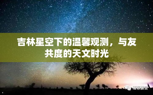 吉林星空下的天文之旅，与朋友共度温馨观测时光