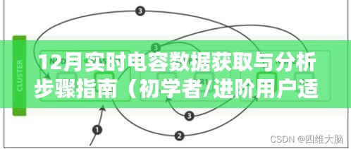 初学者与进阶用户适用的12月实时电容数据获取与分析实战指南