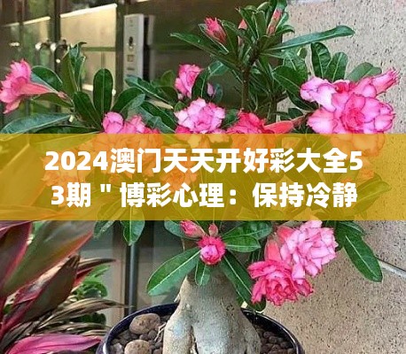 2024澳门天天开好彩大全53期＂博彩心理：保持冷静，制胜关键