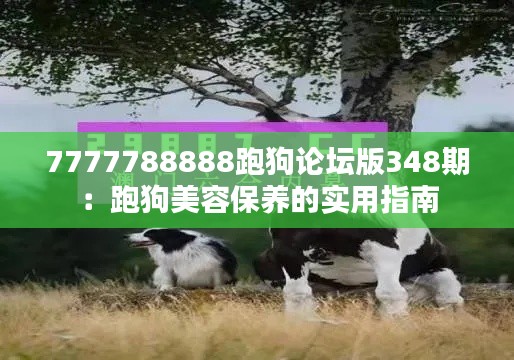 7777788888跑狗论坛版348期：跑狗美容保养的实用指南