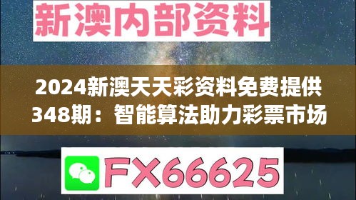 2024年12月13日 第15页