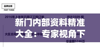 新门内部资料精准大全：专家视角下的内幕信息集