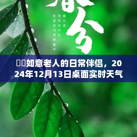 如意老人的贴心伙伴，实时天气桌面显示，2024年12月13日天气预报