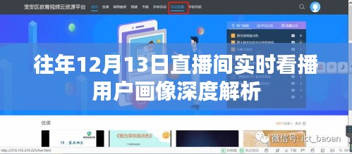 往年12月13日直播间实时看播用户画像深度解析报告