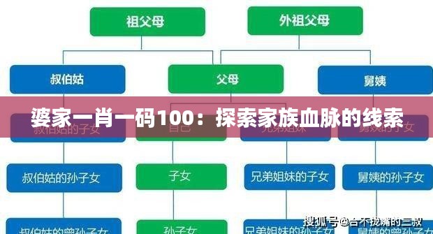 婆家一肖一码100：探索家族血脉的线索