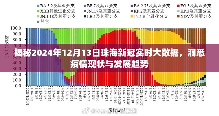 珠海新冠实时大数据揭秘，洞悉疫情现状与发展趋势（2024年12月13日）