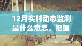 12月实时动态监测解析，洞悉未来，学习变化成就自信与辉煌