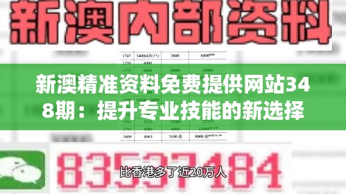 新澳精准资料免费提供网站348期：提升专业技能的新选择