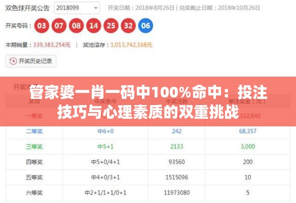 管家婆一肖一码中100%命中：投注技巧与心理素质的双重挑战