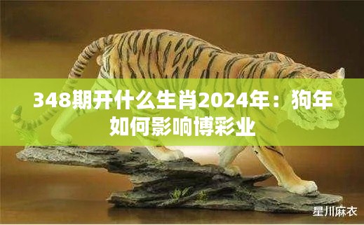 348期开什么生肖2024年：狗年如何影响博彩业